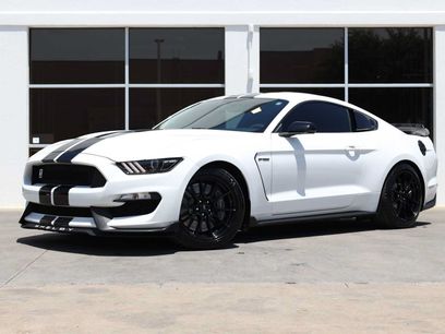 Used 2019 Ford Mustang Shelby GT350 w/ Technology Package