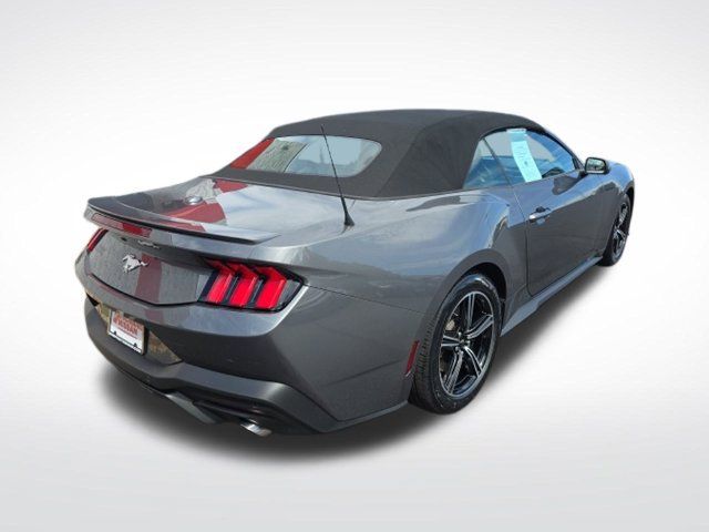 Used 2025 Ford Mustang Premium RWD image 6