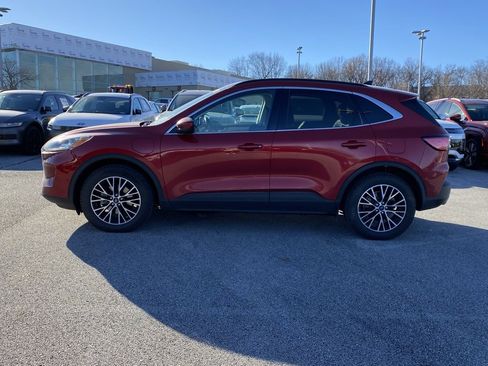 Used 2021 Ford Escape Titanium w/ Titanium Premium Package image 4