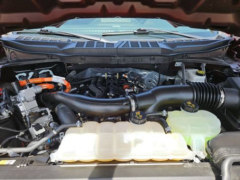 Used 2025 Ford F150 XLT w/ Equipment Group 301A Standard AWD/4WD image 23