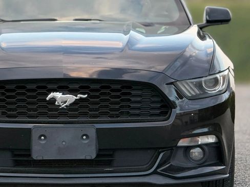 Used 2015 Ford Mustang Convertible w/ Equipment Group 051A image 12