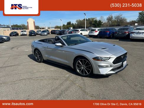 Used 2019 Ford Mustang Premium w/ Equipment Group 201A image 2