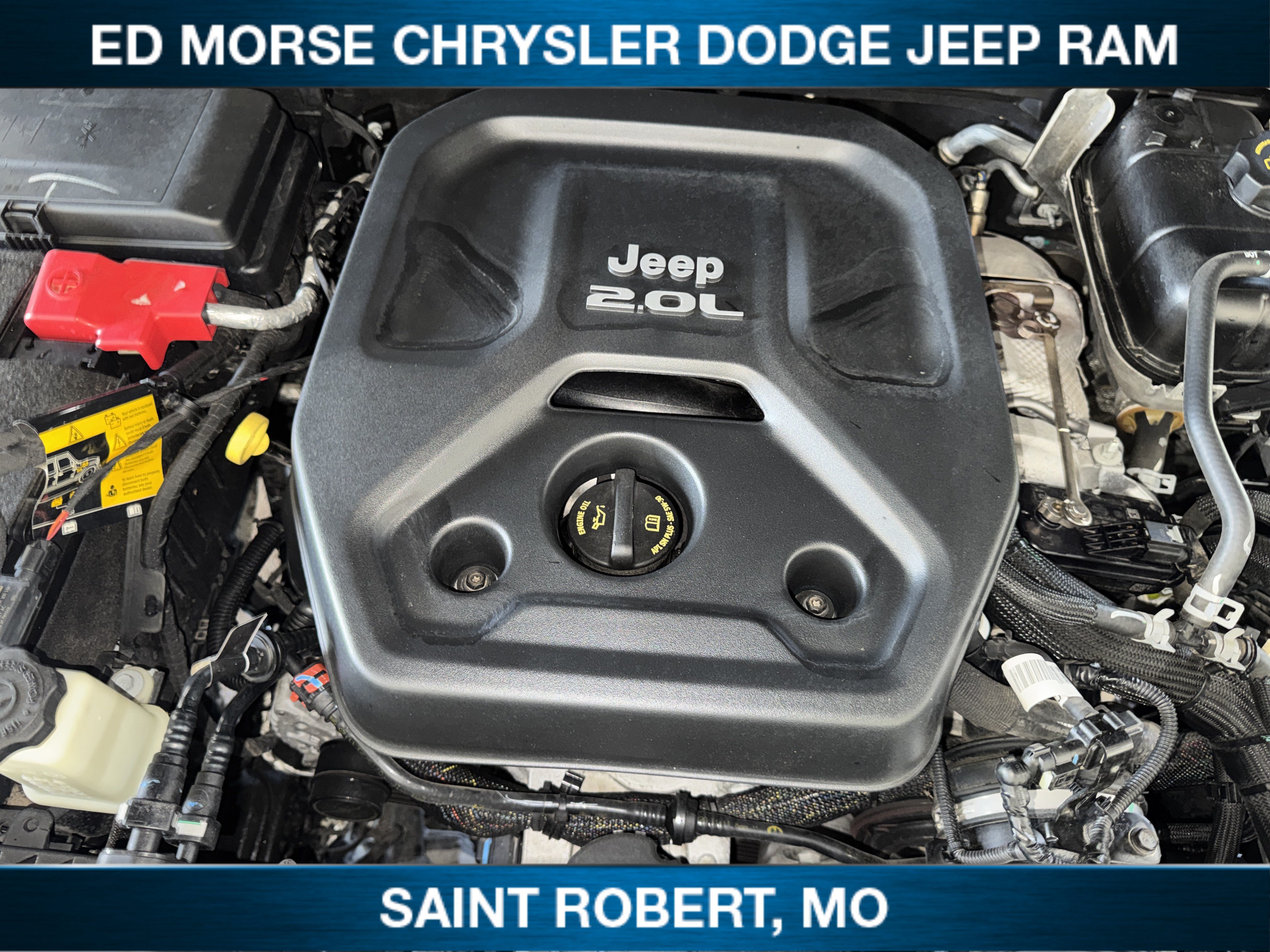 Used 2021 Jeep Wrangler Unlimited Sahara AWD/4WD image 1