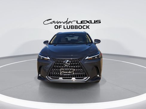 Used 2025 Lexus NX 250 FWD w/ Accessory Package (Z1) image 3