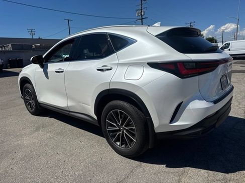 Used 2025 Lexus NX 350h AWD w/ Cold Area Package image 6