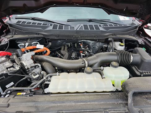 Used 2025 Ford F150 XLT w/ Equipment Group 301A Standard image 21