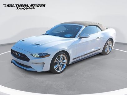 Used 2019 Ford Mustang Premium w/ Equipment Group 201A