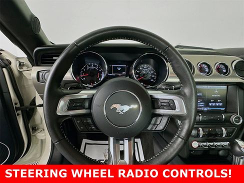 Used 2015 Ford Mustang 50 Years image 13