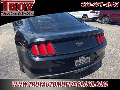 Used 2016 Ford Mustang Premium w/ Equipment Group 201A image 12