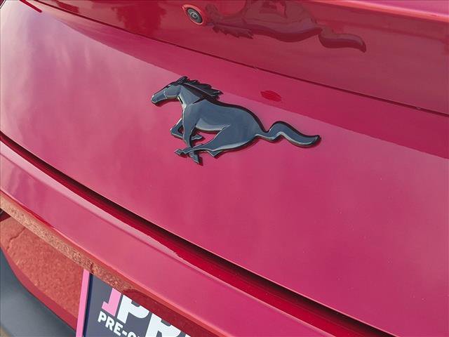 Used 2024 Ford Mustang Coupe w/ Mustang Nite Pony Package RWD image 11