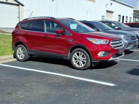 Used 2019 Ford Escape SEL AWD/4WD image 10