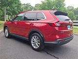 Used 2024 Honda CR-V EX image 4