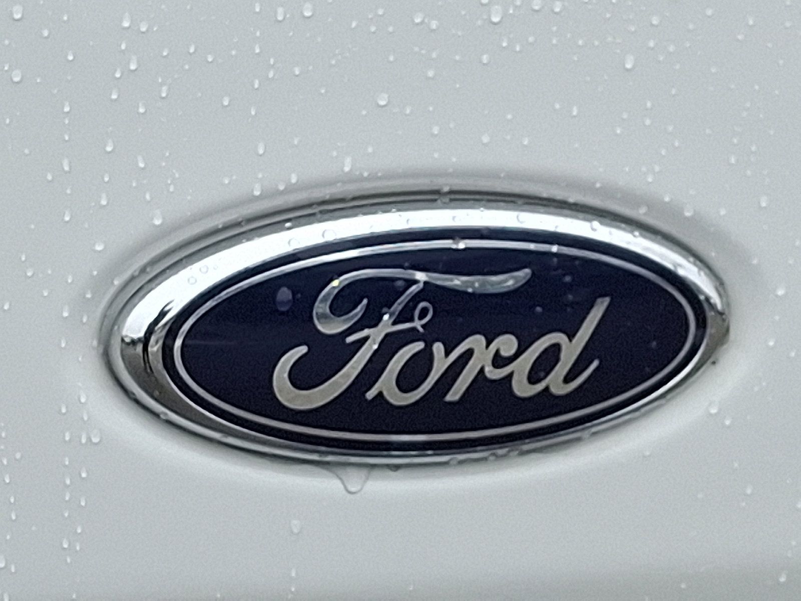 Certified 2025 Ford Transit 250 Low Roof w/ Exterior Upgrade Package RWD image 29