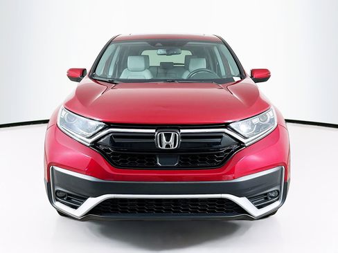 Used 2020 Honda CR-V EX-L image 2