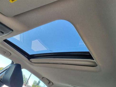 New 2025 Nissan Altima 2.5 SV w/ SV Special Edition Package image 14