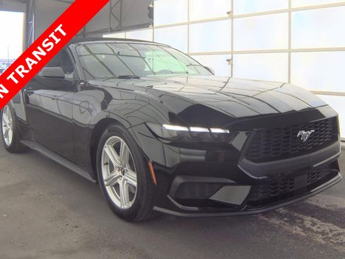Used 2026 Ford Mustang Premium RWD image 3