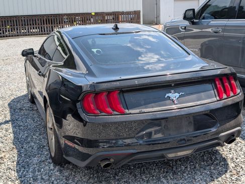 Used 2020 Ford Mustang Premium w/ Pony Package RWD image 4