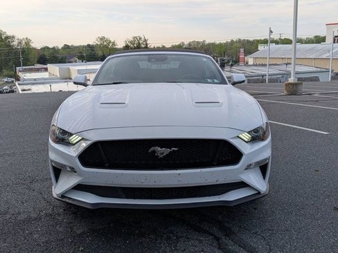 Used 2019 Ford Mustang GT Premium w/ Equipment Group 401A image 2