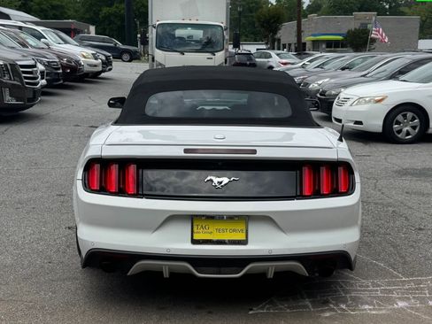 Used 2017 Ford Mustang Premium RWD image 5