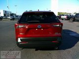 Certified 2022 Toyota RAV4 XLE image 3