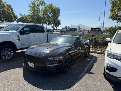 Used 2021 Ford Mustang GT w/ Equipment Group 301A image 1
