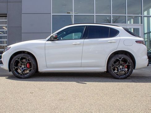 New 2025 Alfa Romeo Stelvio Tributo Italiano w/ Active Assist Plus Package AWD/4WD image 7