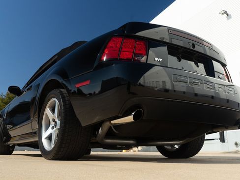 Used 2003 Ford Mustang Cobra image 10