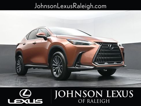 Certified 2025 Lexus NX 350h AWD w/ Cold Area Package image 15