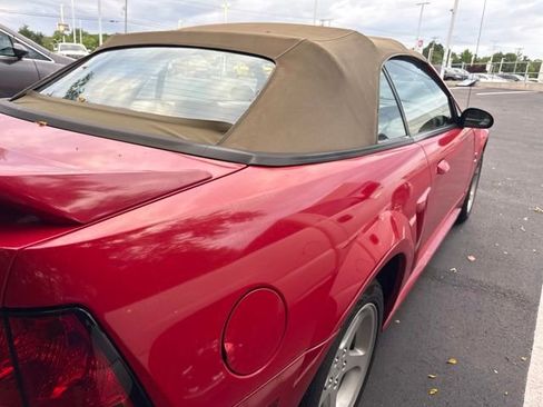 Used 1999 Ford Mustang Cobra RWD image 5