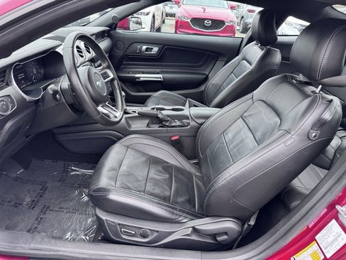 Used 2019 Ford Mustang Premium w/ Equipment Group 201A image 11
