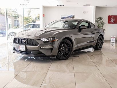 Used 2019 Ford Mustang Premium w/ Ecoboost Performance Package