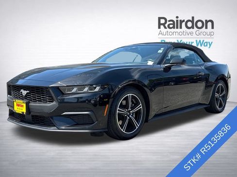 Used 2024 Ford Mustang Premium RWD image 3