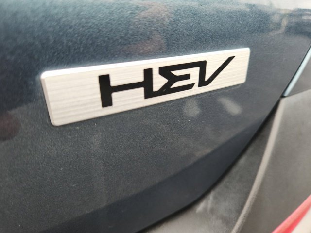 Used 2025 Kia Carnival SX w/ SX Dark Edition Package FWD image 19