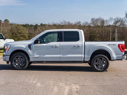 Certified 2023 Ford F150 XLT w/ Equipment Group 302A High image 4