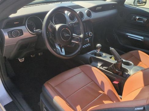 Used 2019 Ford Mustang GT Premium RWD image 13