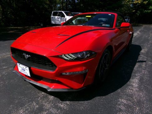 Used 2020 Ford Mustang Premium RWD image 5