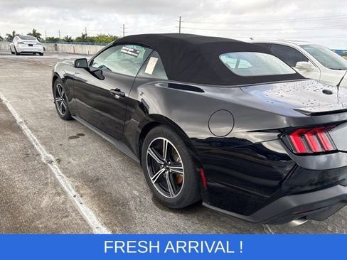 Used 2024 Ford Mustang Premium image 14