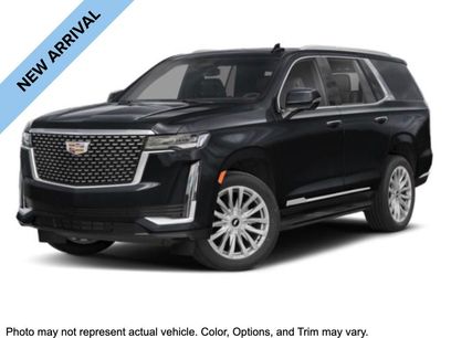 Used 2024 Cadillac Escalade Premium Luxury