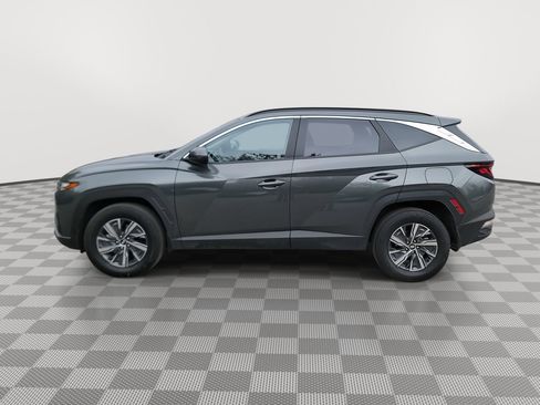 Used 2024 Hyundai Tucson Blue image 5