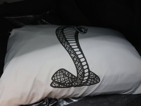 Used 2011 Ford Mustang Shelby GT500 w/ SVT Performance Pkg RWD image 26