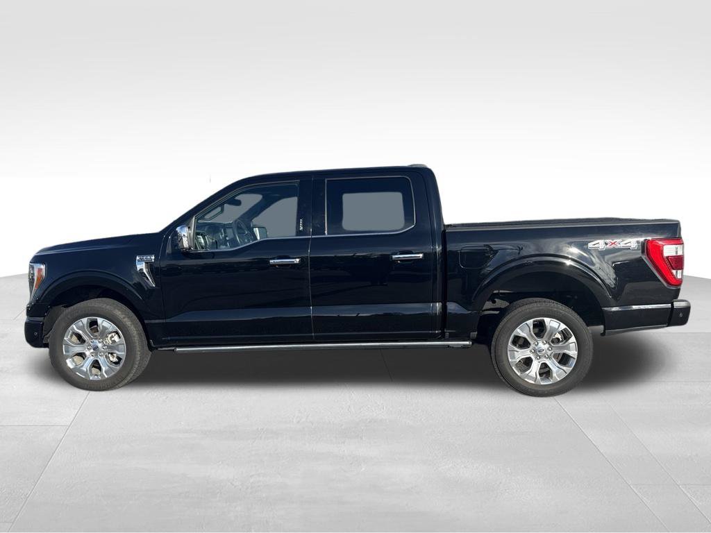 Used 2021 Ford F150 Platinum w/ Equipment Group 701A High AWD/4WD image 13