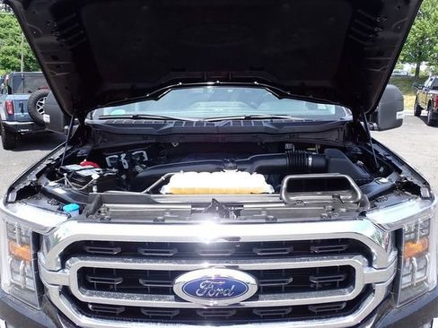 Used 2023 Ford F150 XLT w/ Equipment Group 302A High AWD/4WD image 17