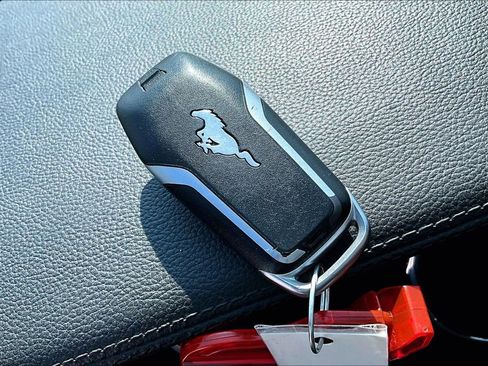 Used 2016 Ford Mustang Premium w/ Equipment Group 201A image 13