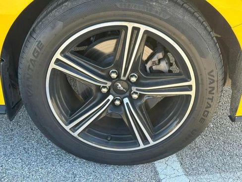 Used 2024 Ford Mustang Premium image 8