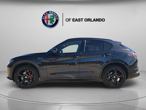 New 2026 Alfa Romeo Stelvio Sprint image 3