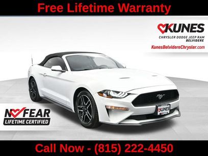 Used 2023 Ford Mustang Premium w/ Equipment Group 201A