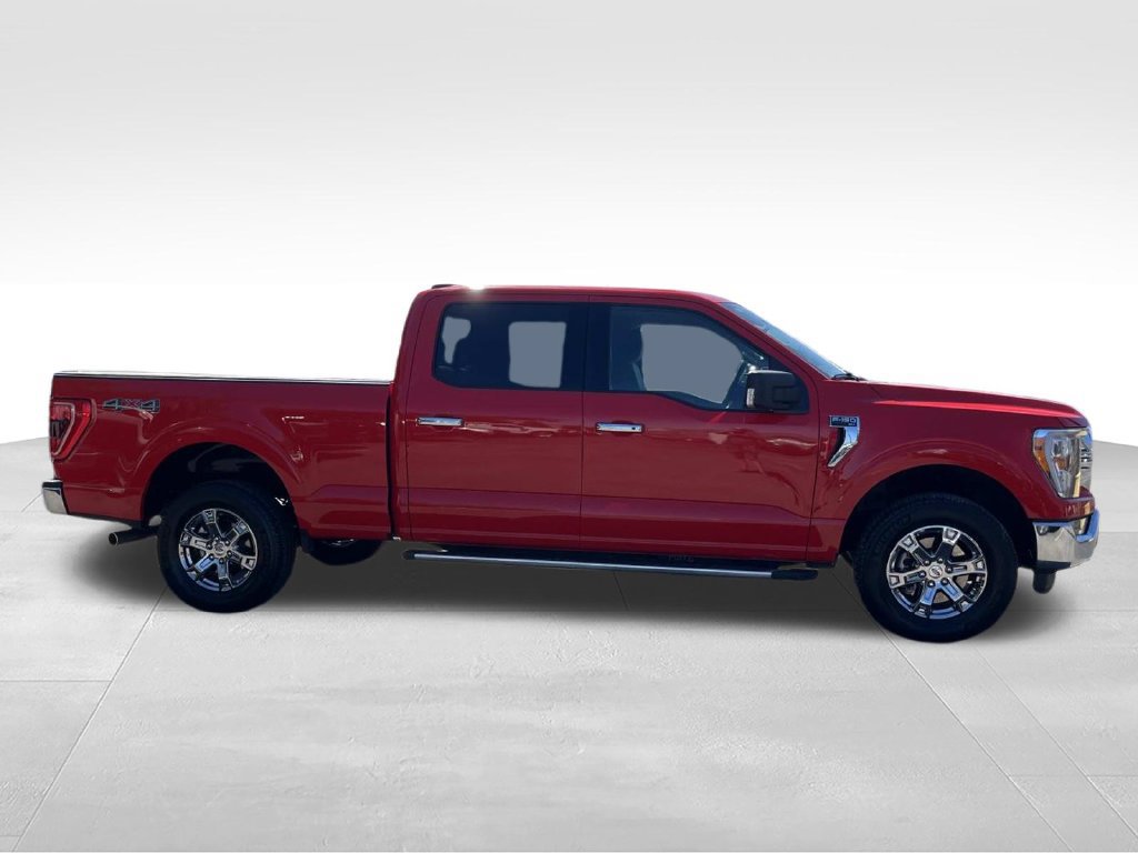 Used 2023 Ford F150 XLT w/ Equipment Group 302A High AWD/4WD image 2