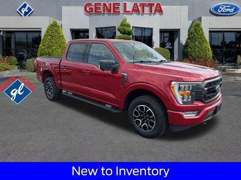 Used 2022 Ford F150 XLT w/ Equipment Group 302A High image 1