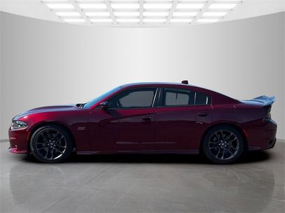 Certified 2023 Dodge Charger Scat Pack