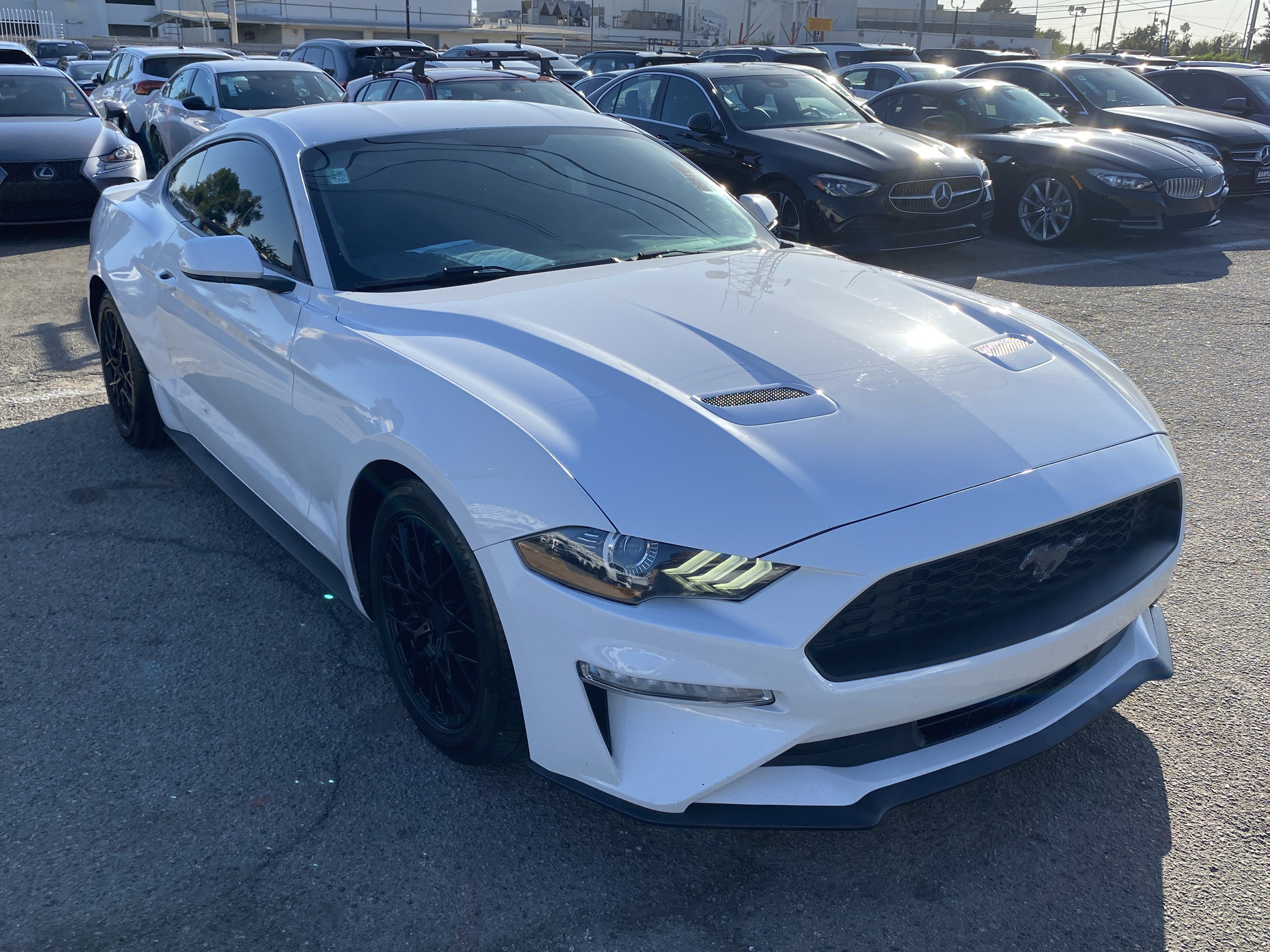Used 2019 Ford Mustang Coupe RWD image 6